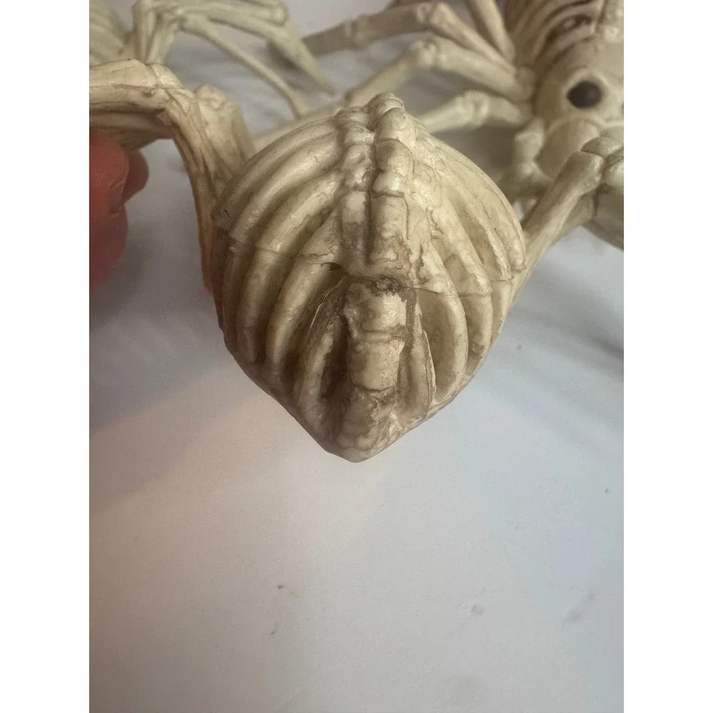 Halloween Skeleton‎ Spider Lot of 4 Creepy Skeleton Spiders Spooky Decor